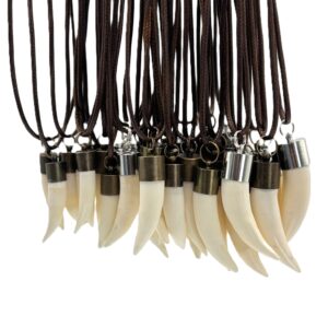 Genuine crocodile tooth necklace hanging from round leather cord