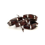 Crocodile wristbands with 2 real croc teeth