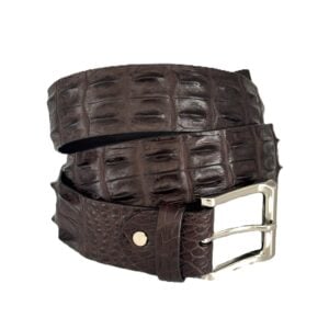 Australian hornback mens crocodile belt in brown